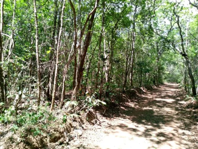 Chacara em Abadiania Documentada R$250000,00