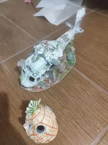 Decoração de aquário