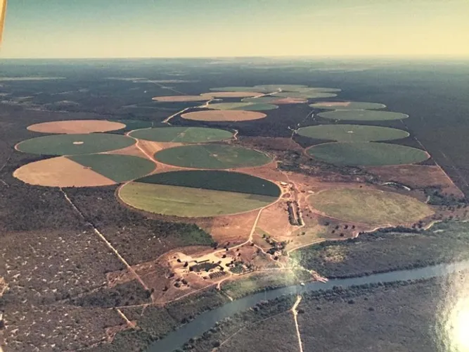 1.198 Alqueires em Santana da Bahia 350.000.000 trezentos e cinquenta milhões de reais