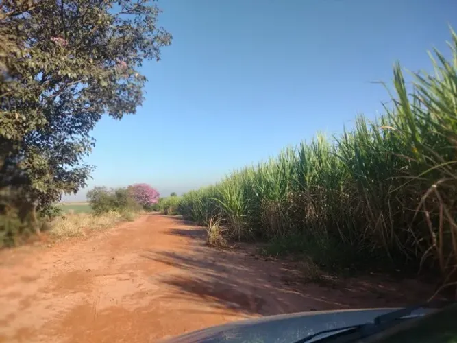 #Sitio á venda  Perto da Cidade de #Altair SP