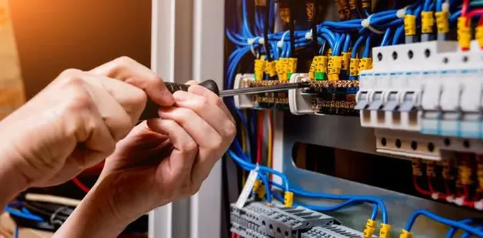 Eletricista (Faz tudo)