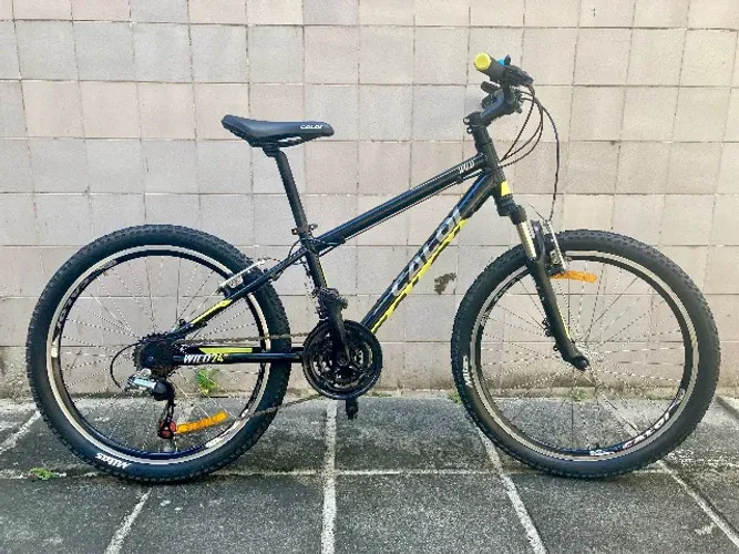 Bicicleta Caloi Wild 24" 2019 usada