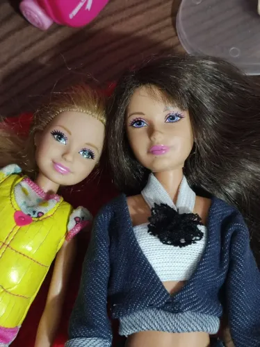 Irmãs da Barbie - Coleção Exclusiva