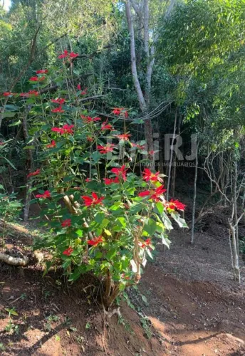 Araras, Petrópolis RJ. 11 lotes no Vale das Videiras. Rodeada por exuberante natureza, ide