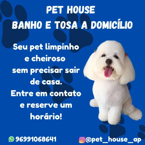 Banho e Tosa a Domicílio