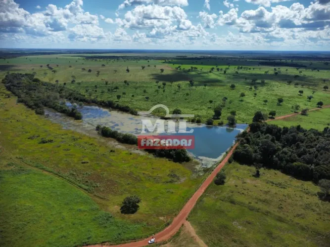 Fazenda Dupla Aptidão 714 alqueires (3.458 hectares) Vale do Araguaia-TO