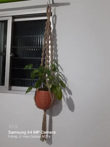 Suporte para plantas hercules