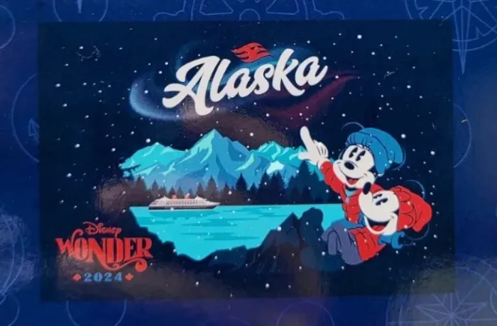 Manta cobertor Disney Cruise