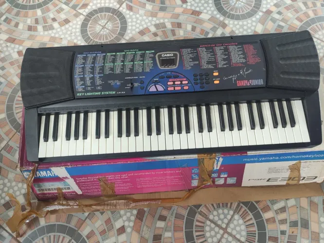 Teclado Casio 