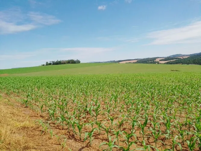 Fazenda à Venda em Itaporanga, SP - 270 Alqueires Oportunidade Única!