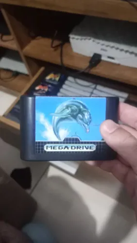 Ecco the dolphin