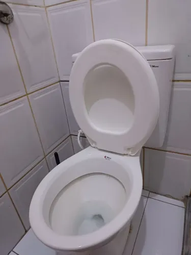 Vaso Sanitário acoplado - Conservad?ssimo