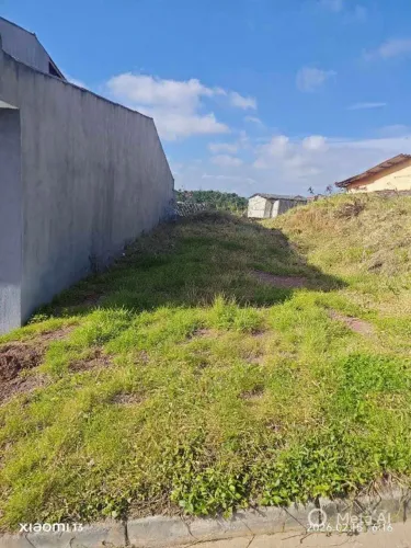 Terreno meio lote