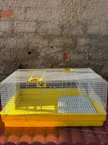 Vendo gaiola