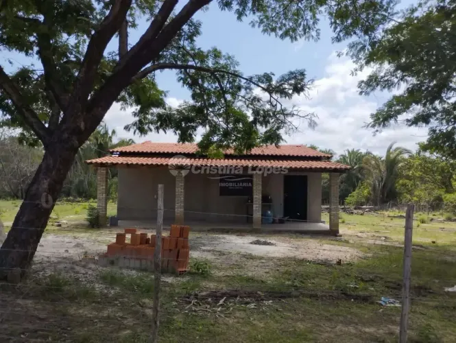 Sítio no Povoado Bolívia da Cidade de Monsenhor Gil. Fica 7 km da BR - 316, PI