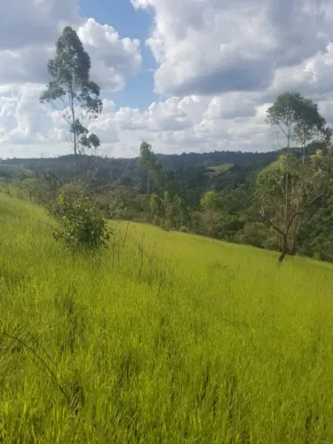 Área para chácara terreno 6.690 m² - infraestrutura completa - Franco da Rocha