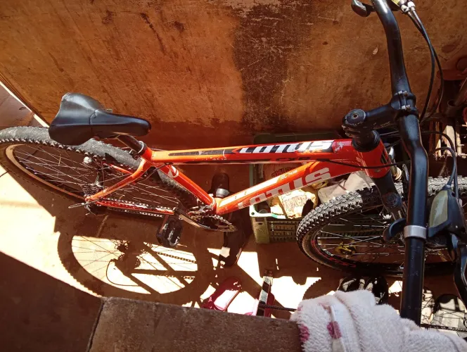 Bicicleta
