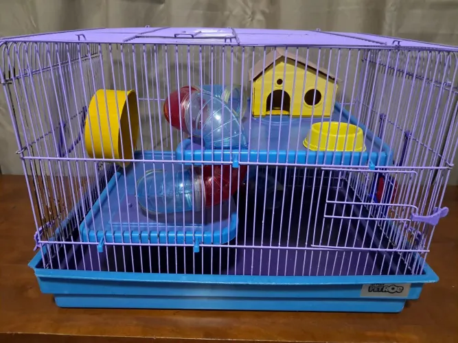 Gaiola hamster.