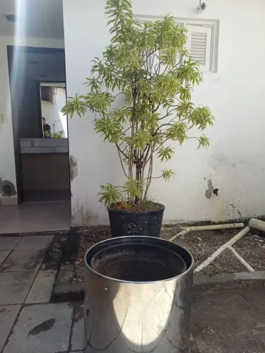 Jarro
