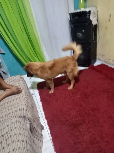 Namorada para cruzar