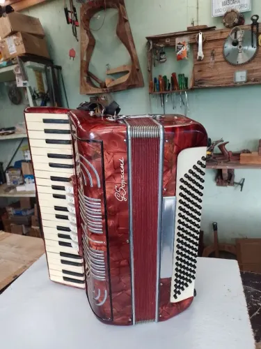 Acordeon italiana 120 baixo recentemente revisada afinação e máquina de registro