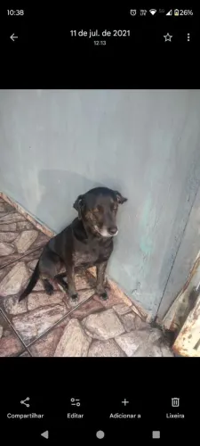 Doa se fêmea castrada 
