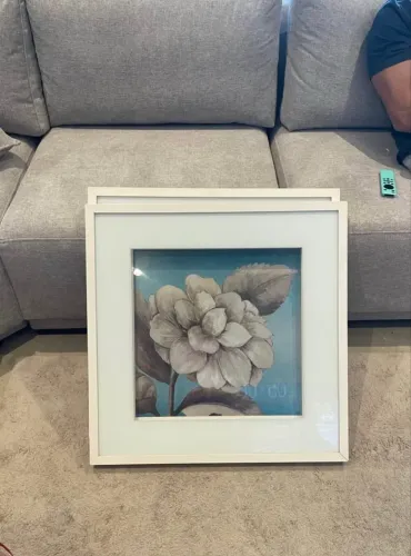 Vendo 2 quadros