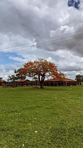 Fazenda a venda em São Miguel do Araguaia - Goiás!