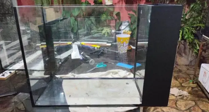 Aquario 