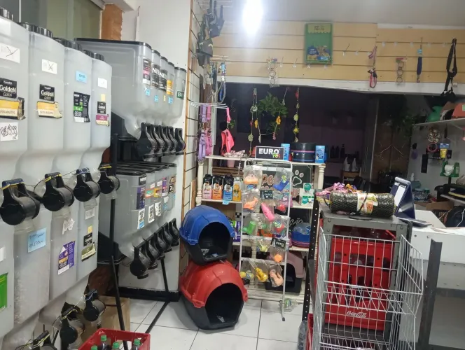 Pet shop completo,tudo que vc precisa para começar seu próprio negocio