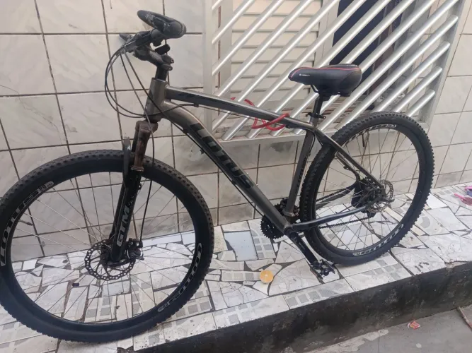 Bike Lotus Aro 29