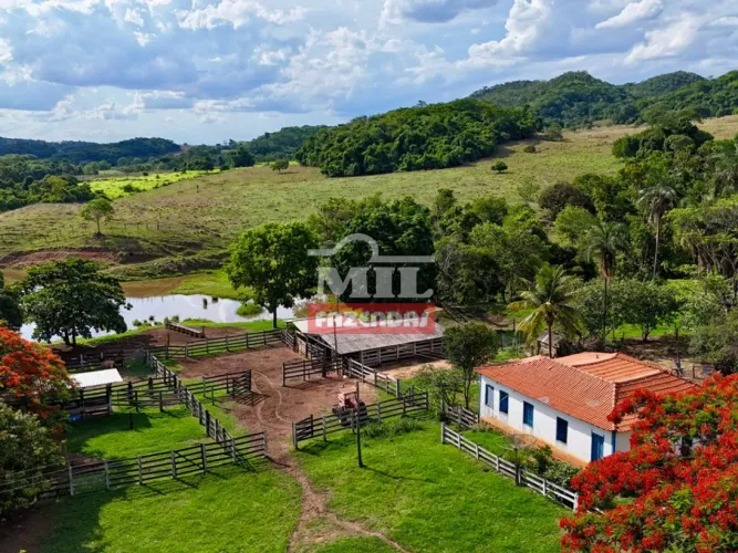 Fazenda 35 Alqueires (164.4 hectares) Piracanjuba - GO