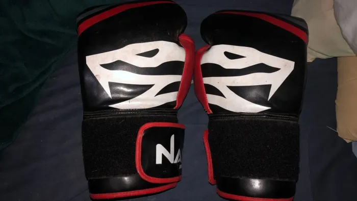 Par de Luvas Boxe Naja Original