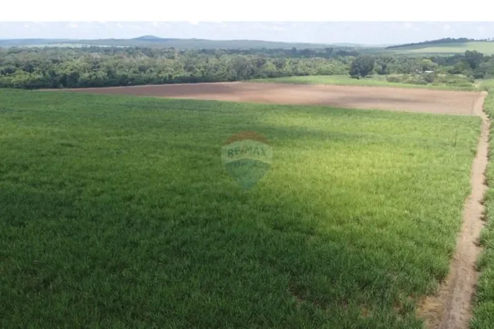 Sítio à venda em Altinópolis/SP  14 alqueires, cana, terra fértil e alto potencial agrícol