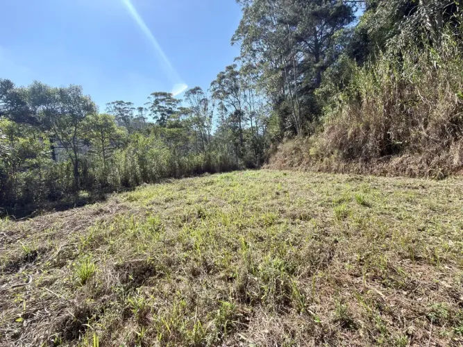Imóvel para venda com 800 metros quadrados em Mury - Nova Friburgo - RJ