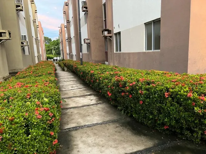 AM - Vale do Gurgueis Uruguai