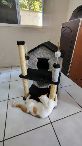 Arranhador com casinha para gato