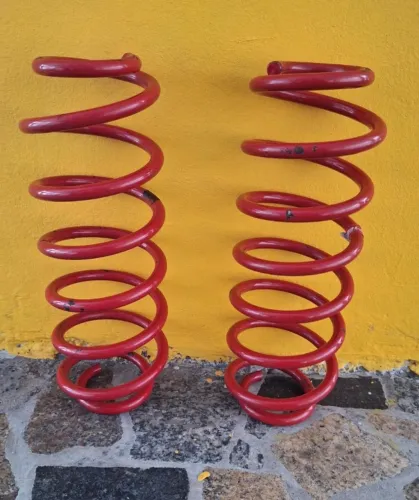 Molas esportivas