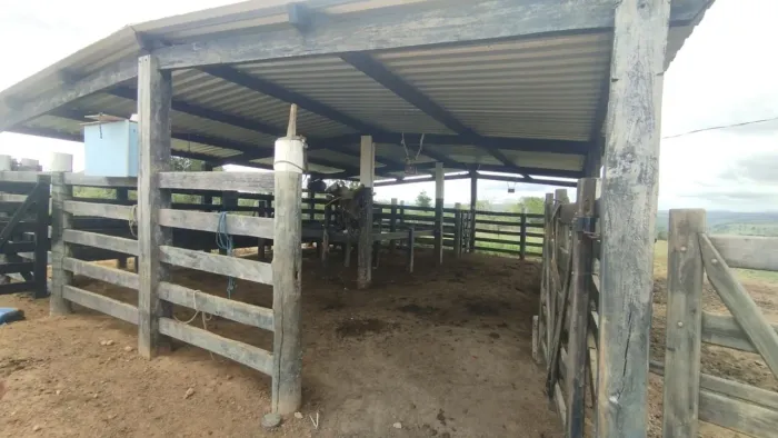 Fazenda a venda em Eunápolis