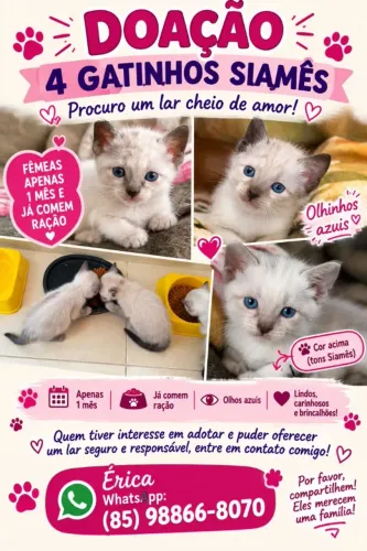 Doação responsável