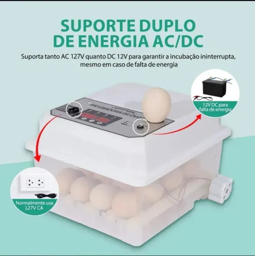 Chocadeira Incubadora