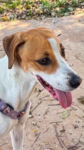 Doa se 