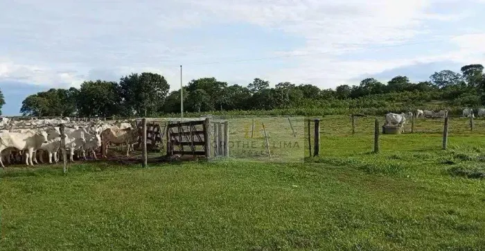 Vendo fazenda no município de Paraná/TO.