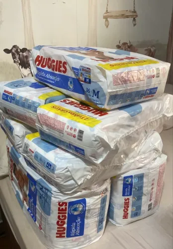 Fraldas M Huggies