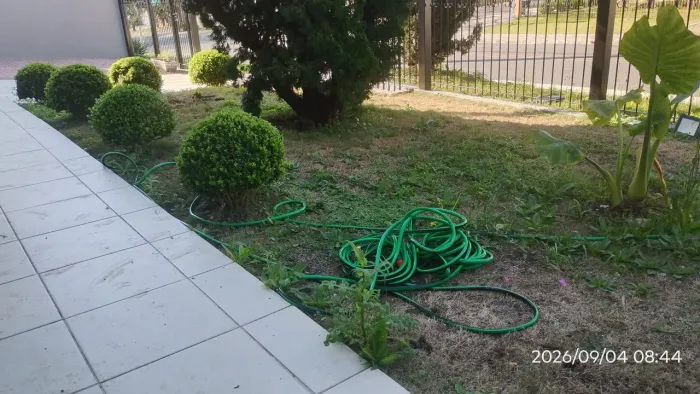 Plantio de grama