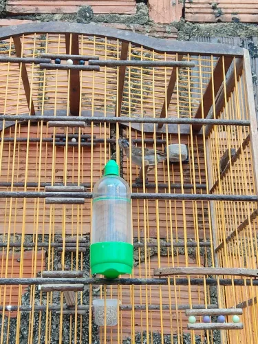 Vendo ou troco gaiola completa