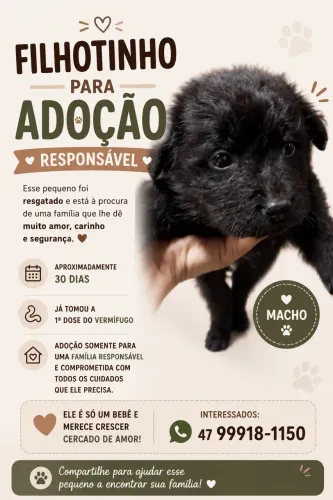 Filhotes disponíveis