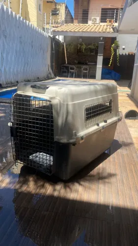 Caixa Transporte para Pet - Médio Porte