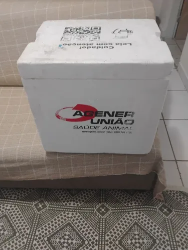 2 Caixas de isopor com gelo gel