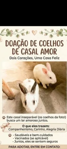 Doa se